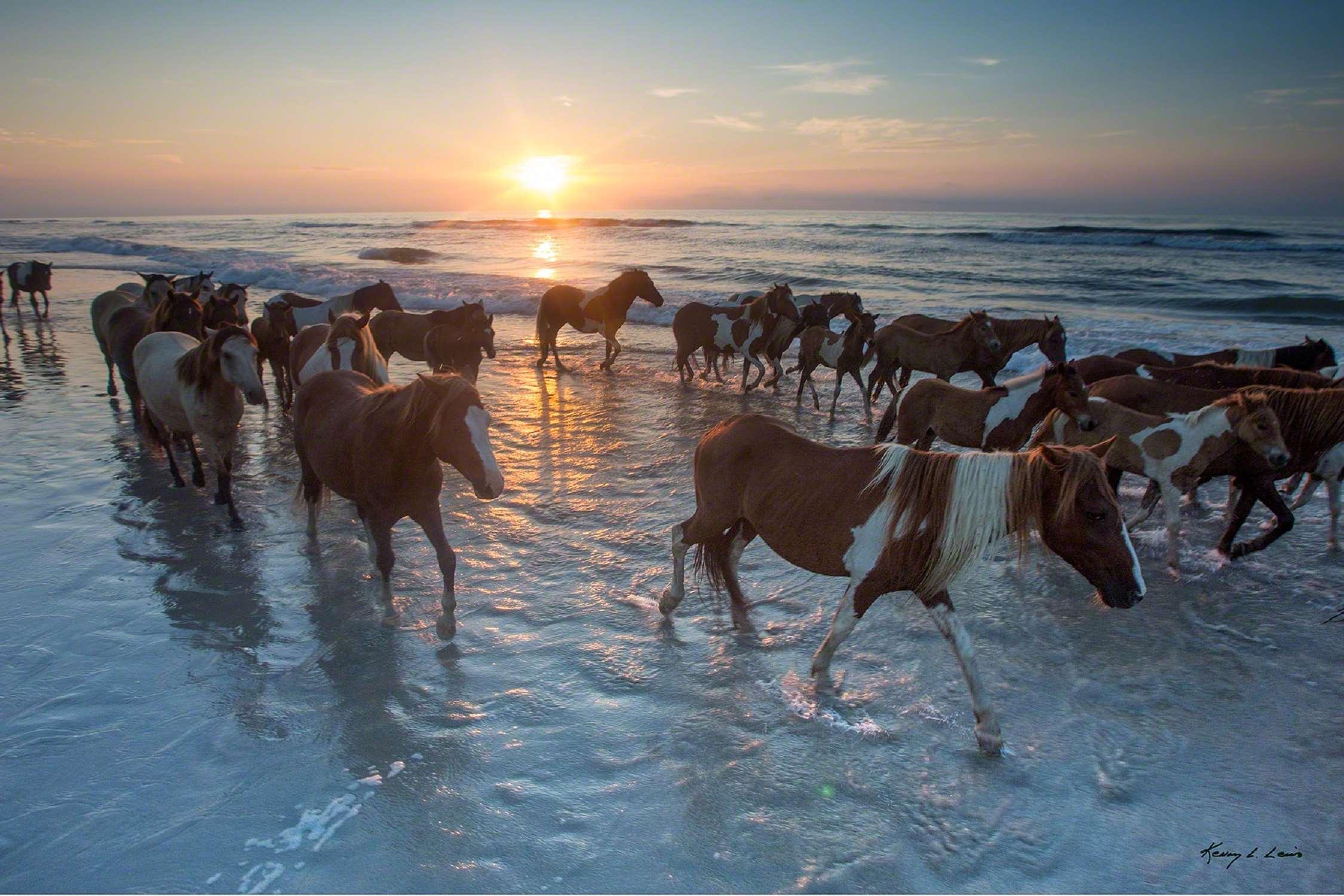 Hampton Inn & Suites Chincoteague-Waterfront, Va Bagian luar foto