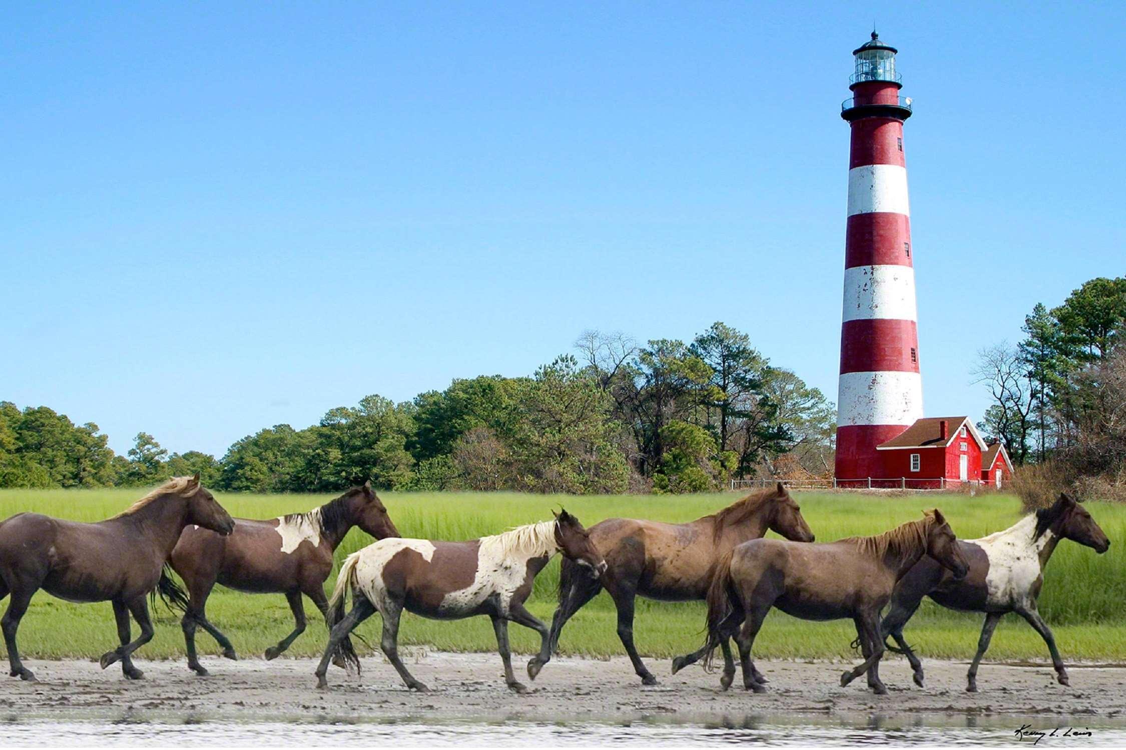 Hampton Inn & Suites Chincoteague-Waterfront, Va Bagian luar foto