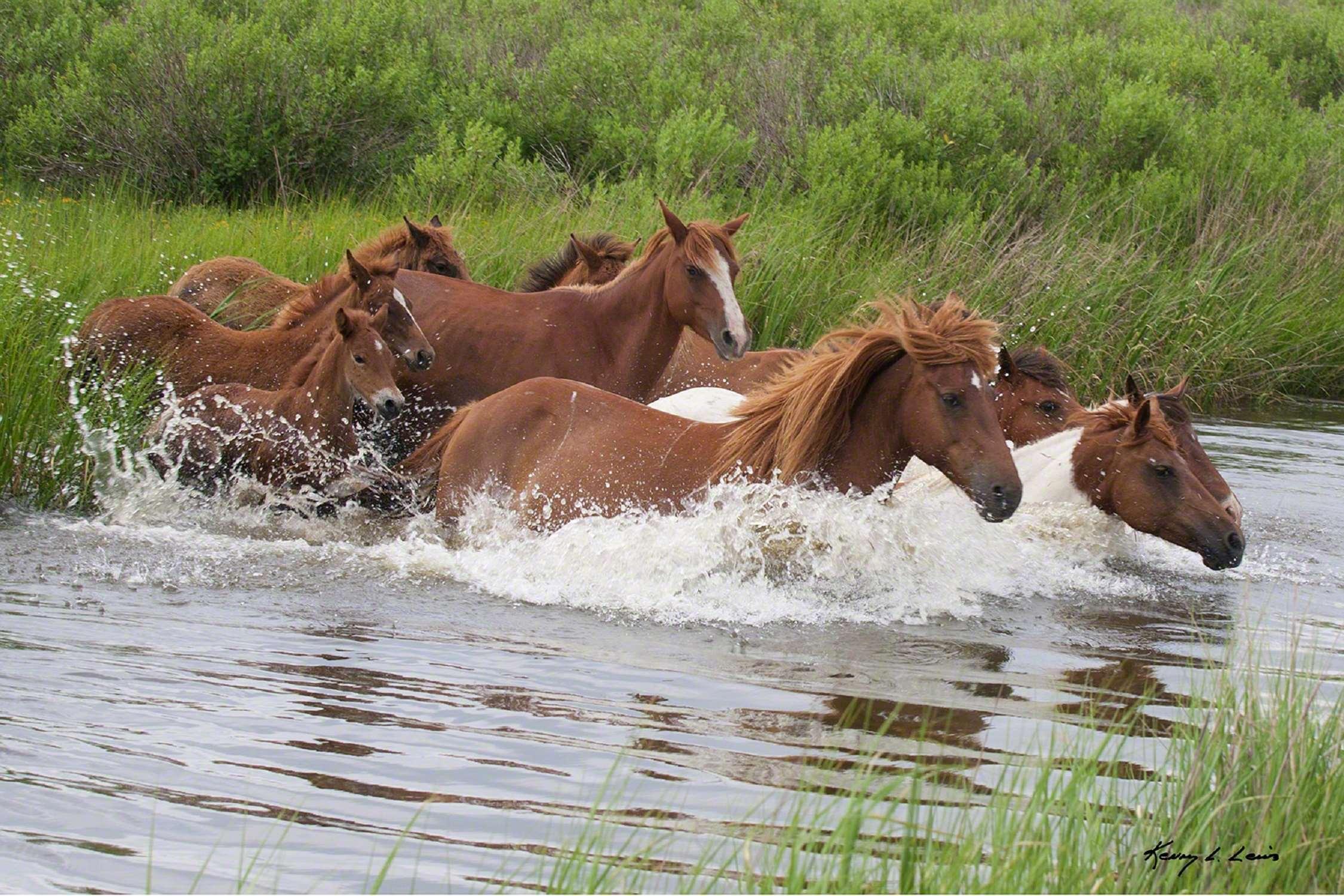Hampton Inn & Suites Chincoteague-Waterfront, Va Bagian luar foto